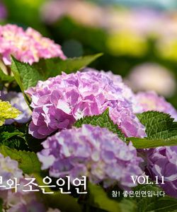 2025년 동부와 조은인연 vol.11