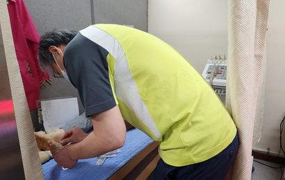 [건강생활기능회복사업] 2026년  4월 한방 진료