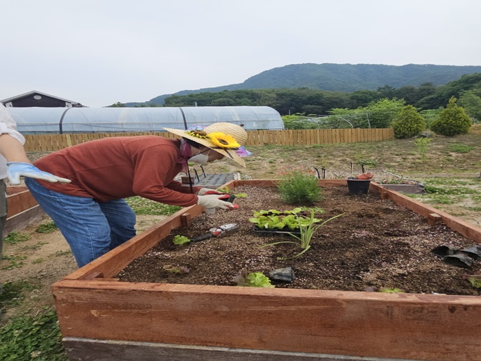 KakaoTalk_20260528_164314744_19