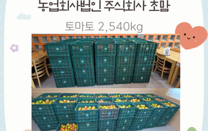 [후원] 농업회사법인 주식회사 초맘 후원품(토마토 2,540kg) 전달