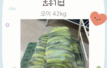 [후원] 효성기업 후원품(오이) 전달