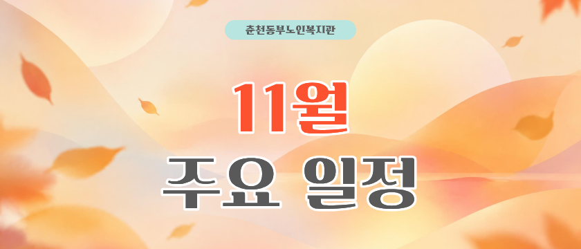 11월 주요일정